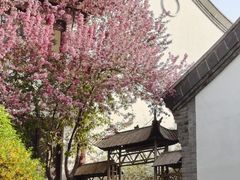 -济南国际园博园