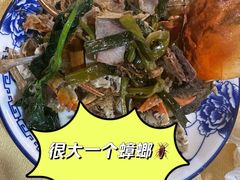 -一煲鸽