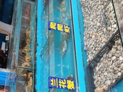 -双福水果批发市场
