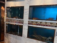 -阳光码头海鲜火锅(世纪大道店)