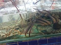 -拉威海鲜市场