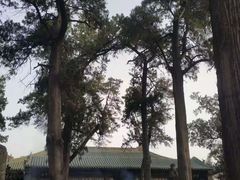 -关林