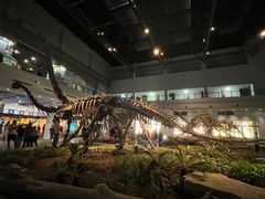 -自贡恐龙博物馆