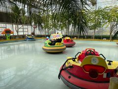 -南宫五洲植物乐园