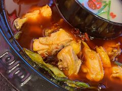 精品烧鸡公-重庆烧鸡公火锅(簋街店)