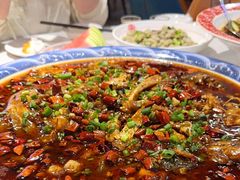 -新概念来凤鱼(璧山店)