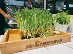 -肥佬大椰子鸡(三里屯3·3大厦店)