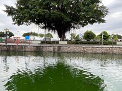 -石炮台公园