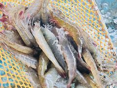 -坛南湾农家乐·海鲜楼·大排档(平潭坛南湾店)