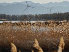 -野鸭湖国家湿地公园