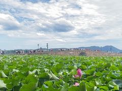 -北山街历史文化街区