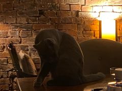 -OX BAR 拉培耶小镇(大连老街店)