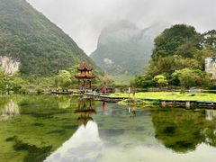 -靖西鹅泉风景区