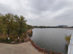 -大兴滨河森林公园