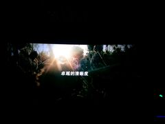 -中影·星感觉激光巨幕影城(博物馆店)