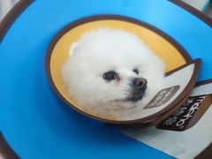 -仁华宠物医院(青羊店)