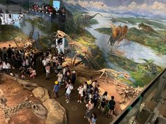 -自贡恐龙博物馆