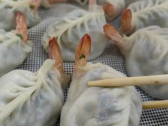 -小叶大馅饺子城