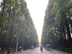 -日照海滨国家森林公园