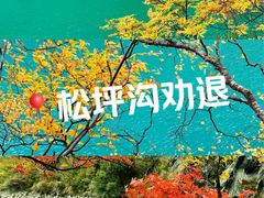 -叠溪松坪沟景区