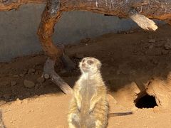 -济南野生动物世界