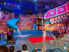 -烟台海昌鲸鲨海洋公园