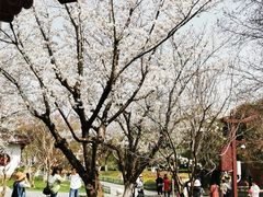 -堤角公园