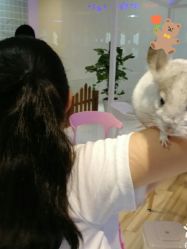 -Moni星球萌宠·小马宝莉·灵蛇·高端高阶全萌宠互动体验俱乐部(红豆国际广场店)
