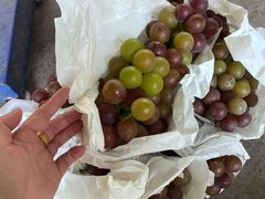 -马陆小张葡萄园农家乐