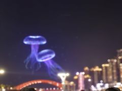 -重庆两江夜游-交运系列