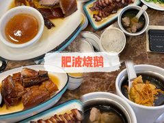 -百利鸽王(紫薇路店)