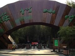 -镇江市南山风景名胜区竹林景区