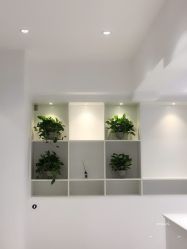 -MIVI半永久纹眉绣眉