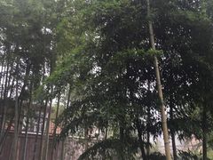 -江南天池高山汤泉城