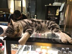 -咖法森林·咖啡  酒吧(天河店)