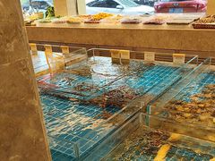 -新丁香海鲜酒店(银海商贸城店)