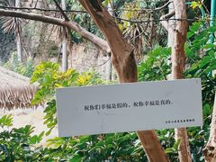 -湖泉半山温泉