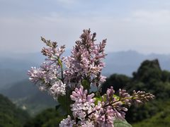 -白草畔自然风景区