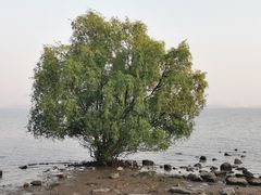 -深圳湾公园(南山区)