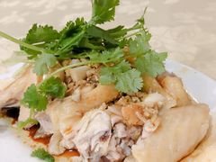 白切鸡-电白鸭粥店(下沙二坊88号店)