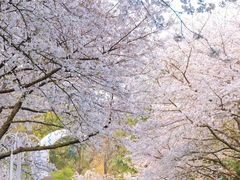 -杭州少年儿童公园