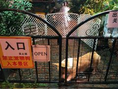 -more than meow吴止猫主题餐厅(承德 中船汇店)