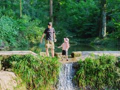 -素山寺森林公园