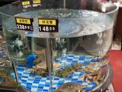 水产区-新塘畔酒楼(里水大道北店)