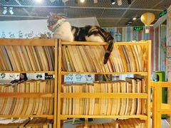 -小时光咖啡馆(开森度假森林店)