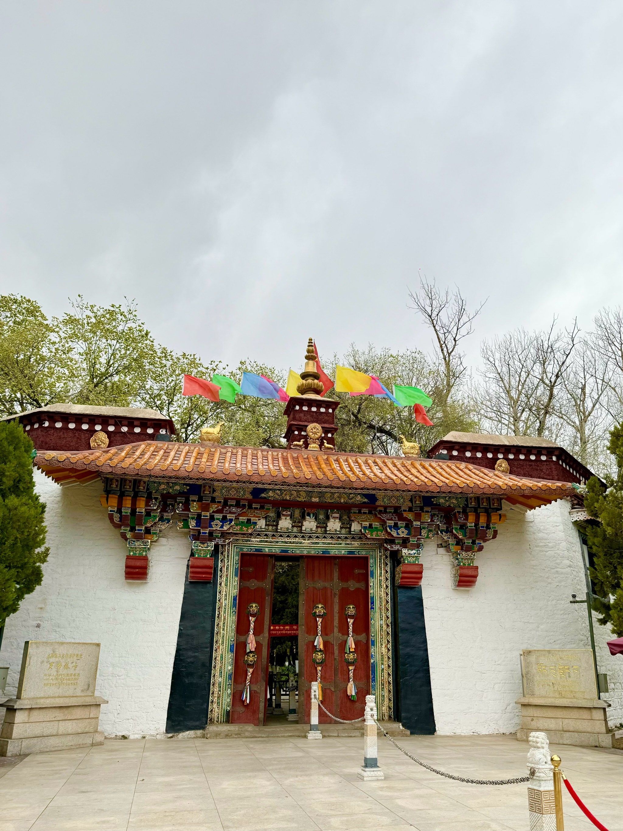 不负春阳光去旅行