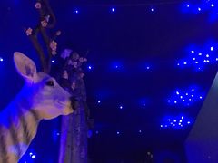 -星宿秘码(鼓浪屿老店)