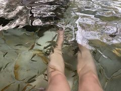 -天目湖涵田半山温泉