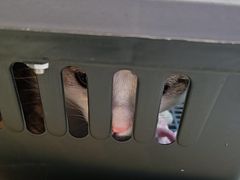 -联合动物医院(光谷诊疗中心)