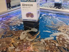-盒马X会员店(上海森兰商都店)